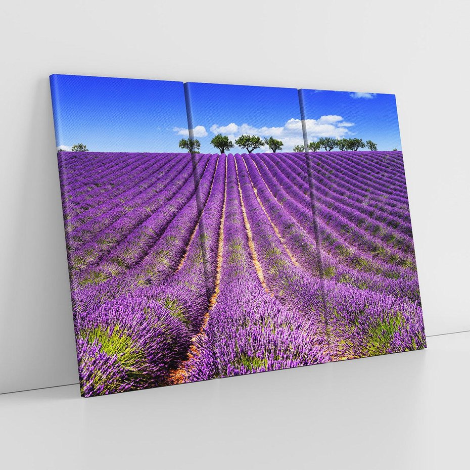 Obraz na płótnie 120x80 - pola wonnych kwiatów - lawenda, kwiaty
