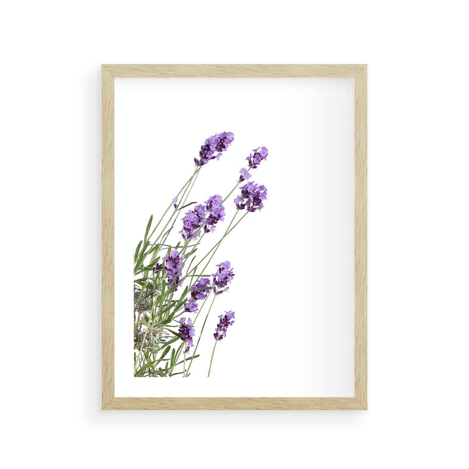 Plakat w ramie 30x40 - Delikatny Urok - lawenda, kwiaty - rama drewno