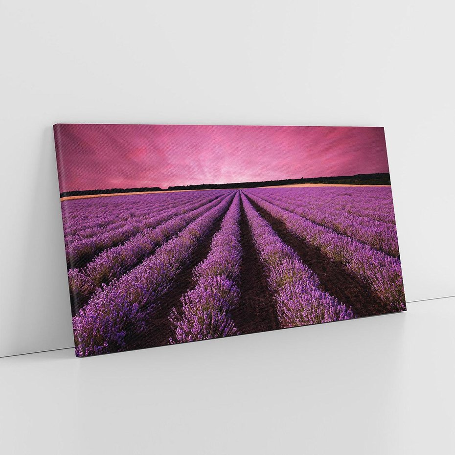 Obraz na płótnie 120x60 - Pola lawendy w pełnym rozkwicie - Lawenda, krajobraz