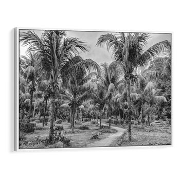 Obraz w ramie 100x70 - Mroczna Ścieżka Tropików - czarno biała fotografia, ścieżka pośród palm - rama biała