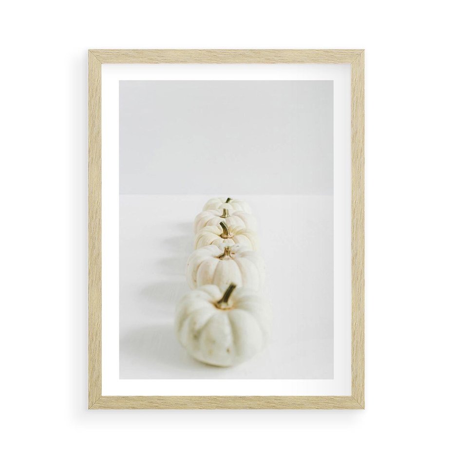 Plakat w ramie 50x70 - Białe Dynie - białe dynie, jesień - rama drewno