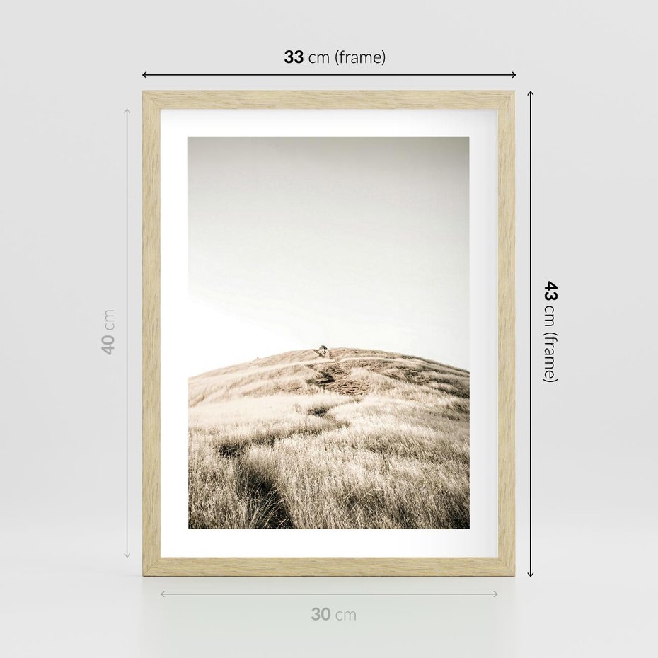 Plakat w ramie 30x40 - Wzgórze w Odcieniach Sepii - wzgórze, trawy - rama drewno