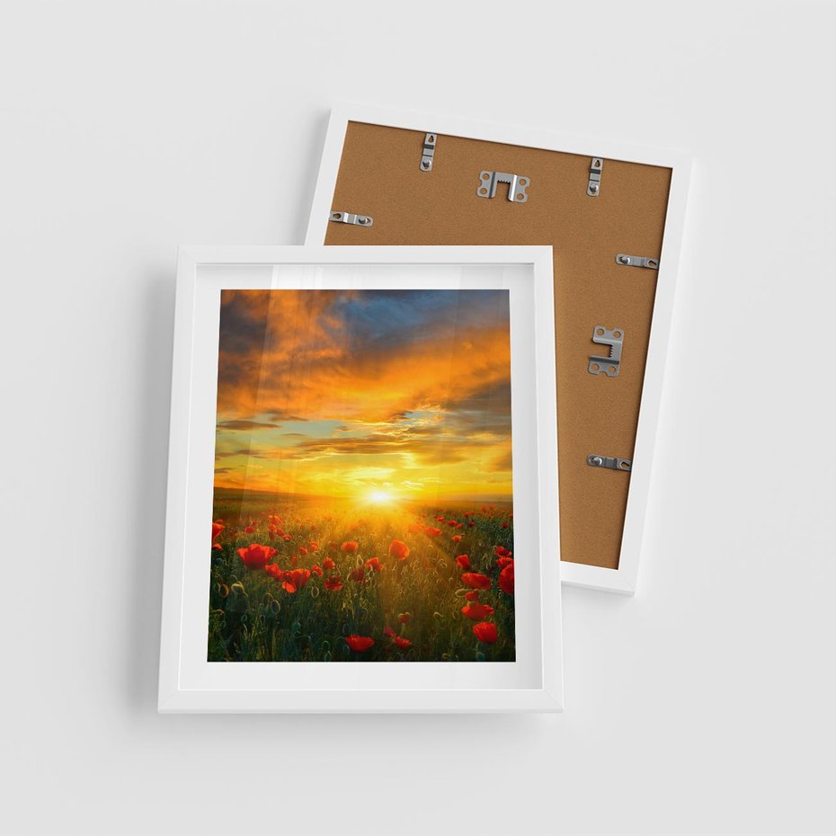 Plakat w ramie 40x50 - Magia zachodu słońca na łące z makami - łąka, zachód słońca - rama biała