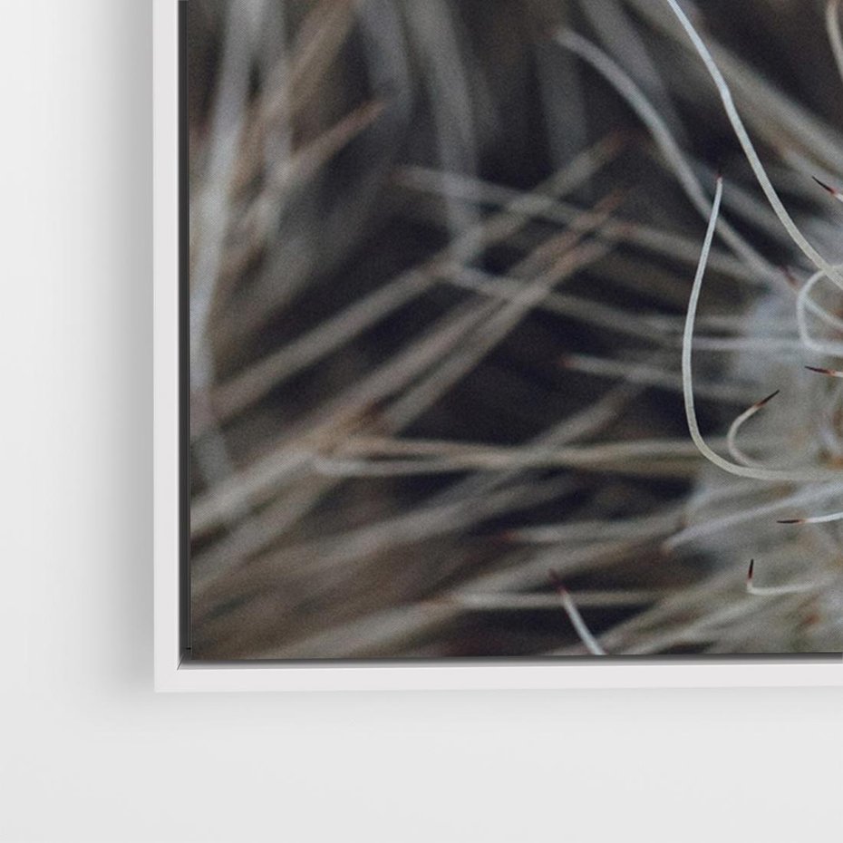 Obraz w ramie 120x80 - Ulotna Piękność Natury - makro, dmuchawce - rama biała