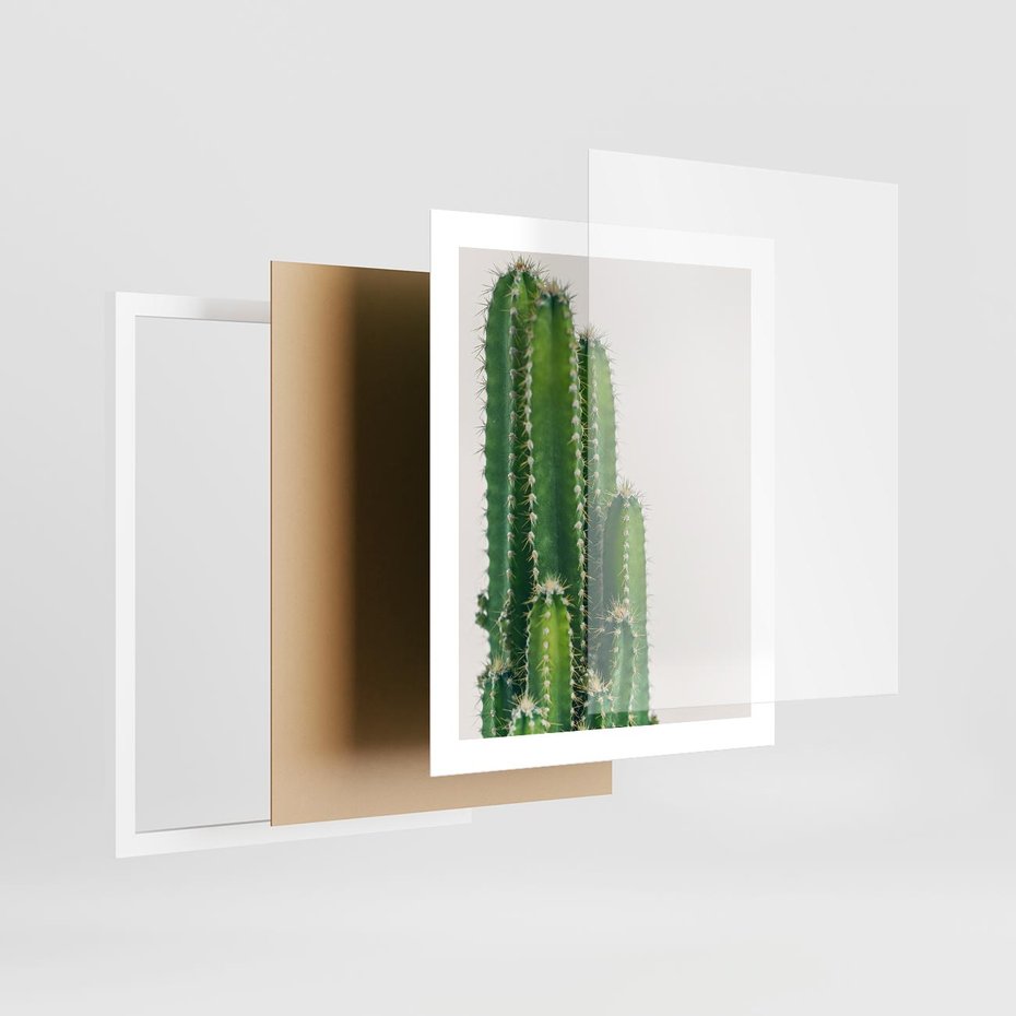 Plakat w ramie 40x50 - Minimalistyczne Kaktusy na Białym Tle - kaktusy, minimalistyczna fotografia - rama biała