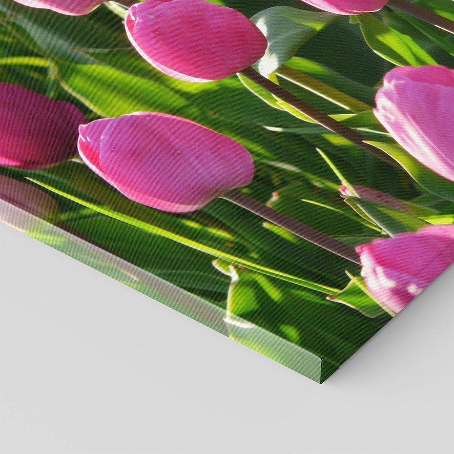 Obraz na płótnie 70x50 - Tulipanowa harmonia - tulipany, kwiaty