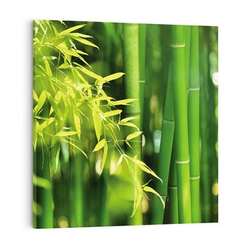Obraz na płótnie 40x40 - Spokój bambusowego lasu SPA - bambus, drzewa