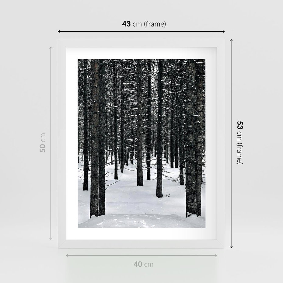 Plakat w ramie 40x50 - Zimowe Drzewa: Śnieg na Pniach - drzew w zimi, pnie drzew - rama biała