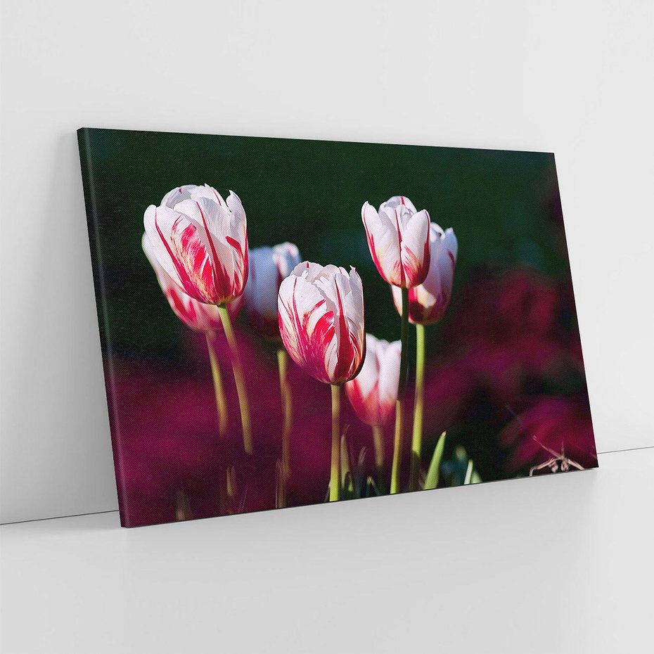 Obraz na płótnie 70x50 - Kwiatowy raj w naturze - kwiat, kwiaty