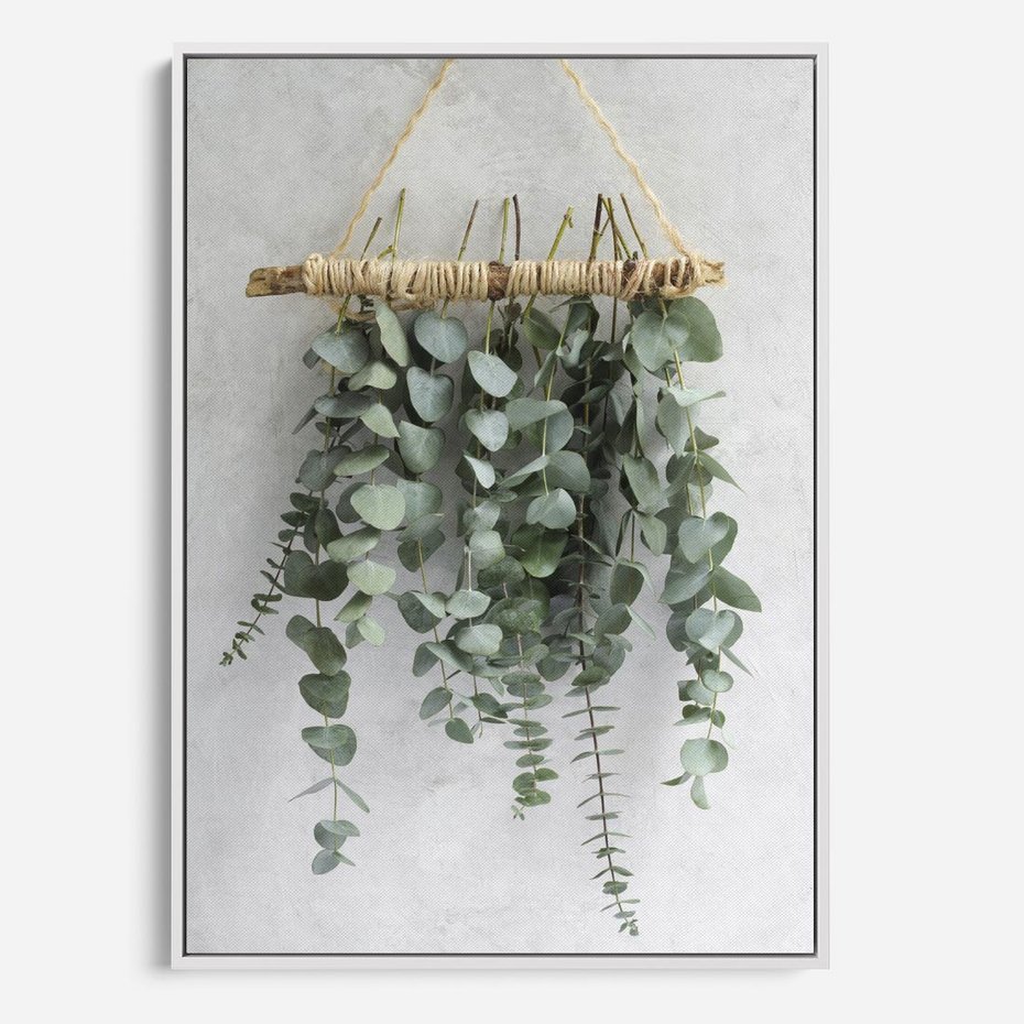 Obraz w ramie 70x100 - Uwodzicielska zieleń eukaliptusa - eukaliptus, zielone - rama biała