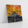 Obraz na płótnie 40x40 - Droga przez jesienny las - droga, las