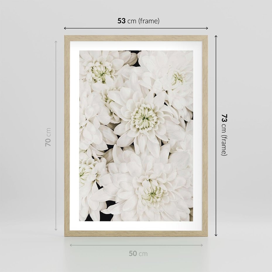 Plakat w ramie 50x70 - Białe Kwiaty: Płatki Delikatności - białe kwiaty, zbliżenie - rama drewno