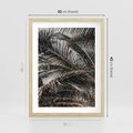 Plakat w ramie 30x40 - Liściaste Palmy - palmy, drzewa palmowe - rama drewno