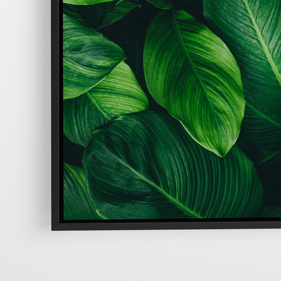 Obraz w ramie 50x50 - Palma Liście Kwiat - palma, liście - rama czarna