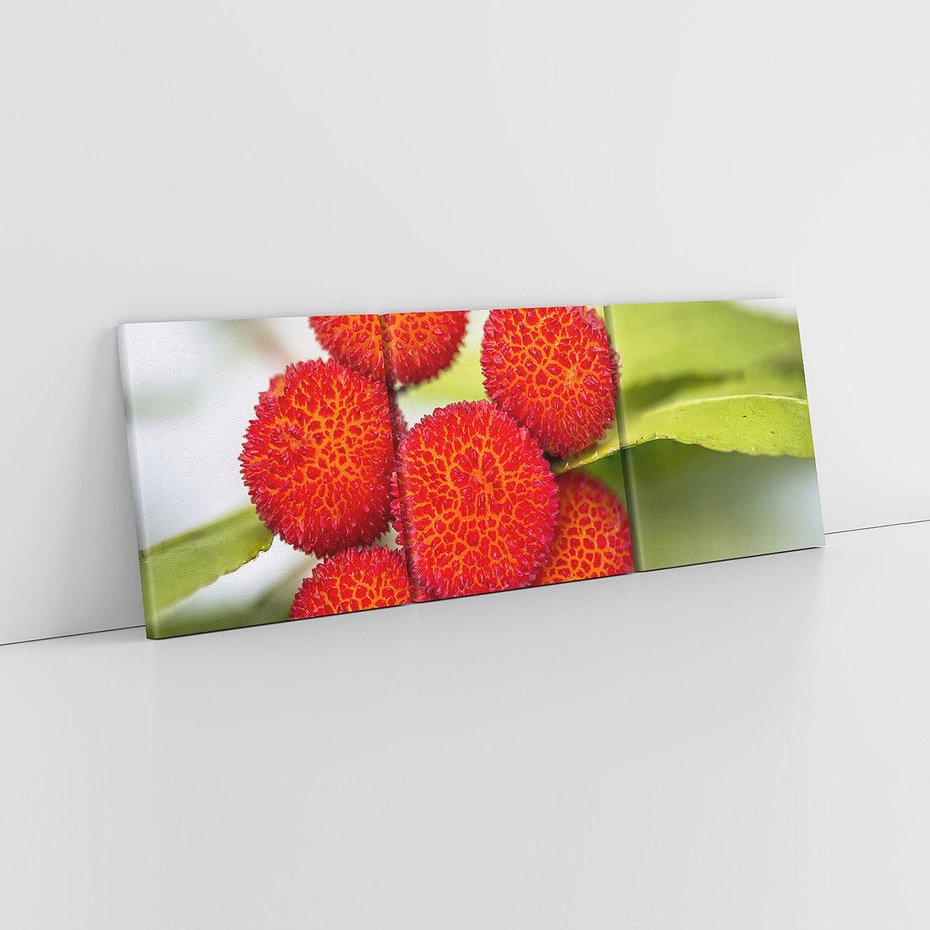 Obraz na płótnie 120x40 - Liczi Owoce - liczi, owoce