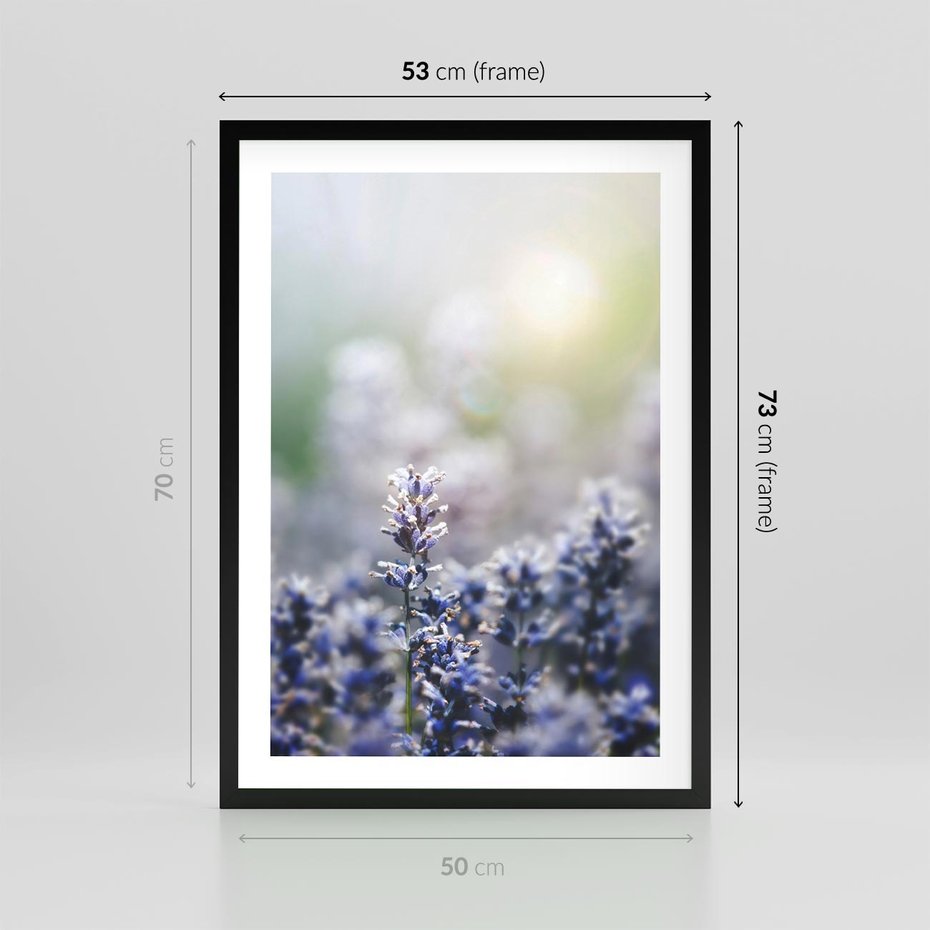 Plakat w ramie 50x70 - Delikatna Uroda Natury - wrzosy, fiolet - rama czarna