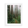 Plakat w ramie 50x70 - Mgliste Marzenia - artystyczna fotografia, las - rama biała