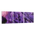 Obraz na płótnie 150x50 - Fioletowa hortensja - kwiaty, hortensja