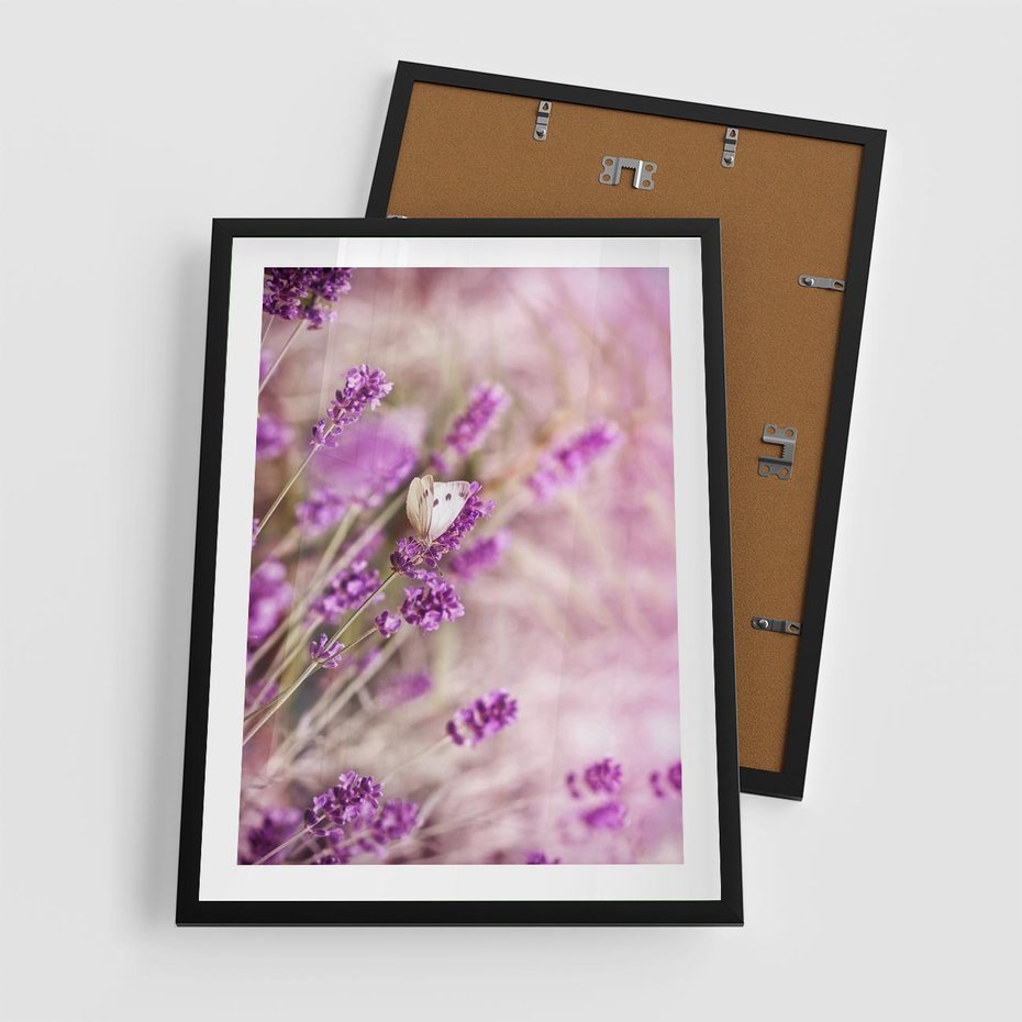 Plakat w ramie 50x70 - Majestat lawendy: fioletowe pola - lawenda, fiolet - rama czarna