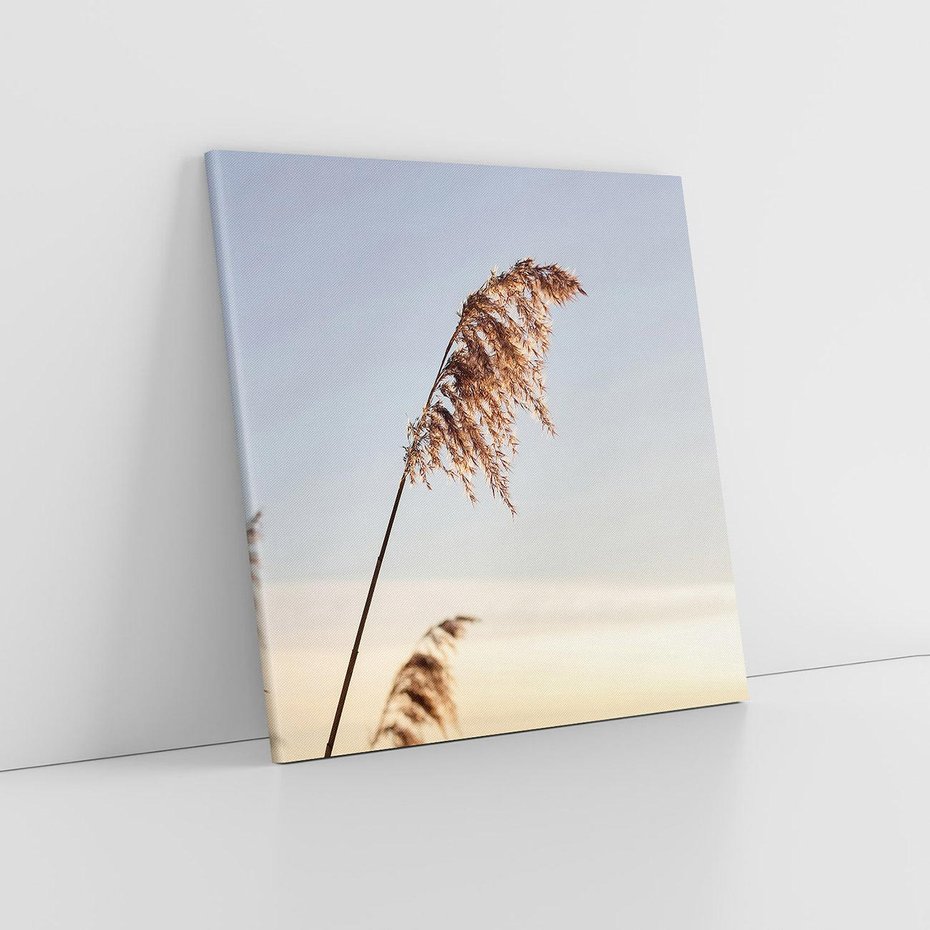 Obraz na płótnie 60x60 - Naturalna Delikatność - trawy, boho