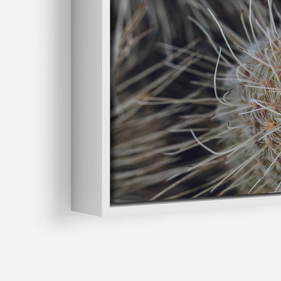 Obraz w ramie 80x80 - Ulotna Piękność Natury - makro, dmuchawce - rama biała