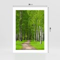 Plakat bez ramy 30x40 - Spacer Ścieżką w Urokliwym Lesie - las, ścieżka