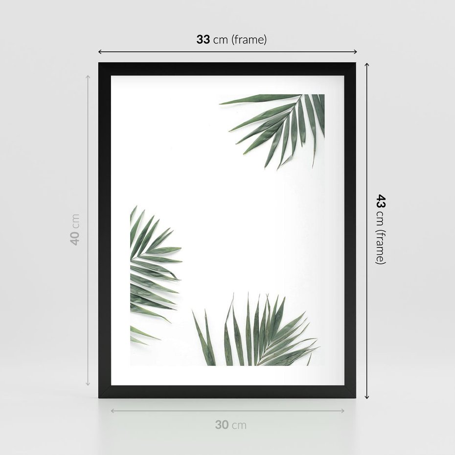 Plakat w ramie 30x40 - Liście Palmy na Czystym Tle - liście palmy, białe tło - rama czarna