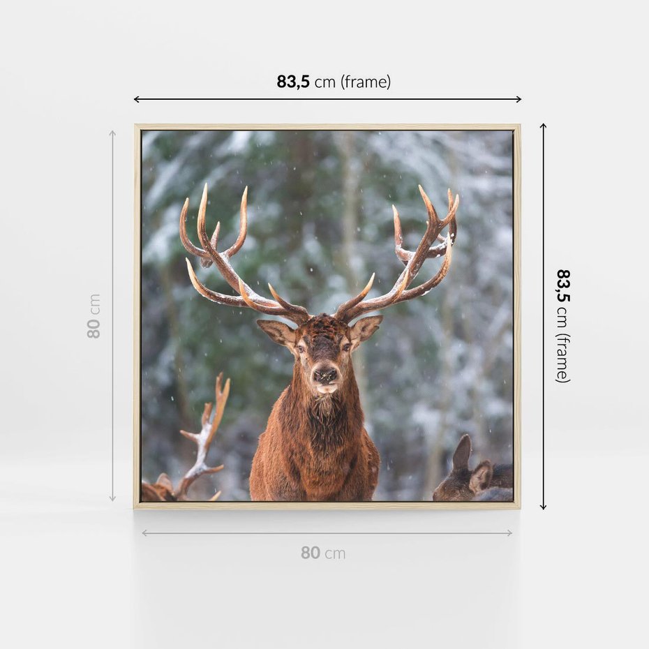 Obraz w ramie 80x80 - Monarcha Zimowej Dziczy - jeleń, zima - rama drewno