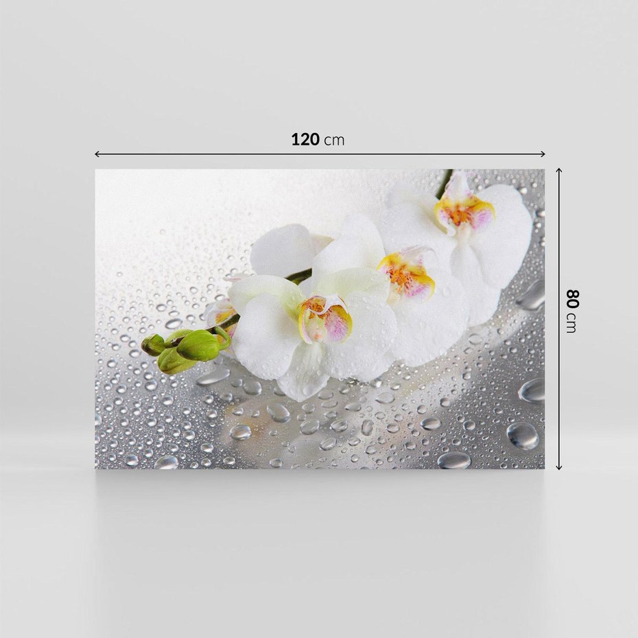 Obraz na płótnie 120x80 - Kwiatowy rój - kwiaty, kwiat