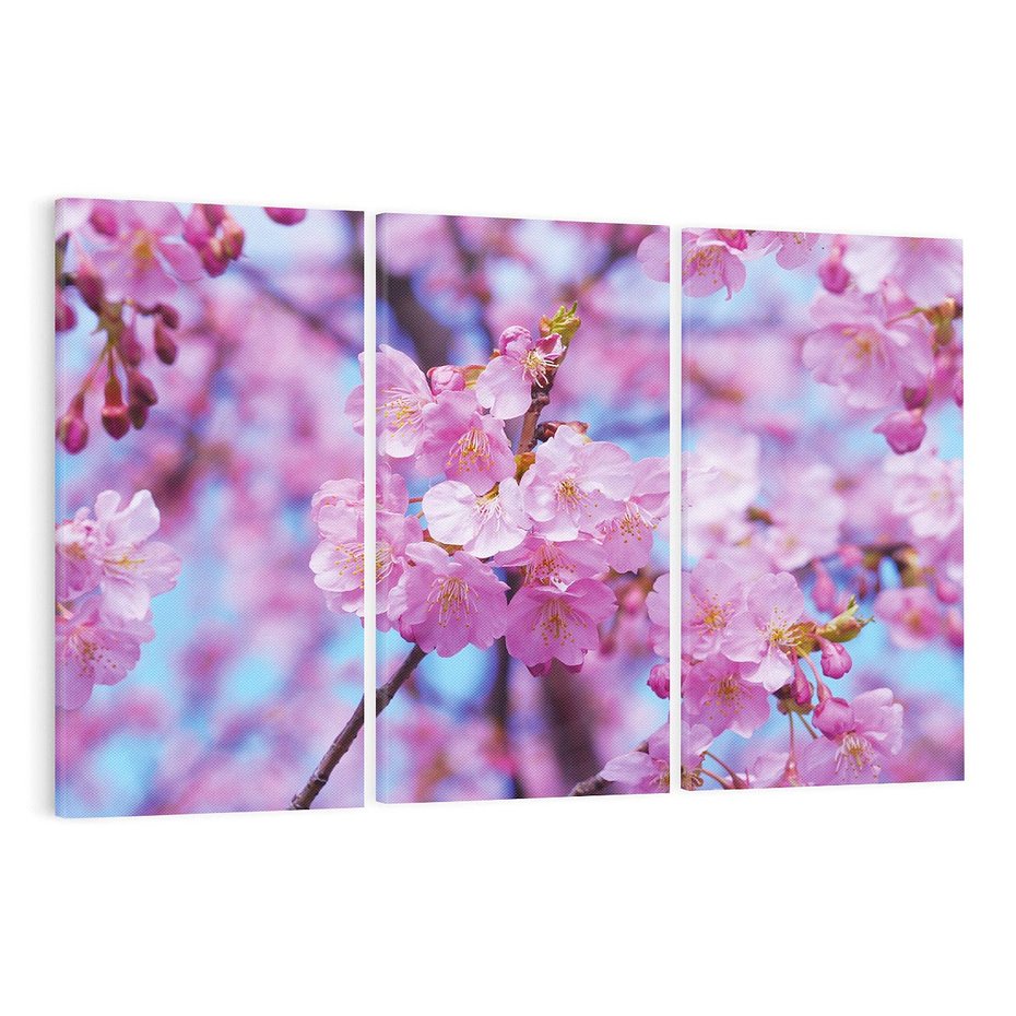 Obraz na płótnie 120x80 - magia kolorów - kwiat, kwiaty