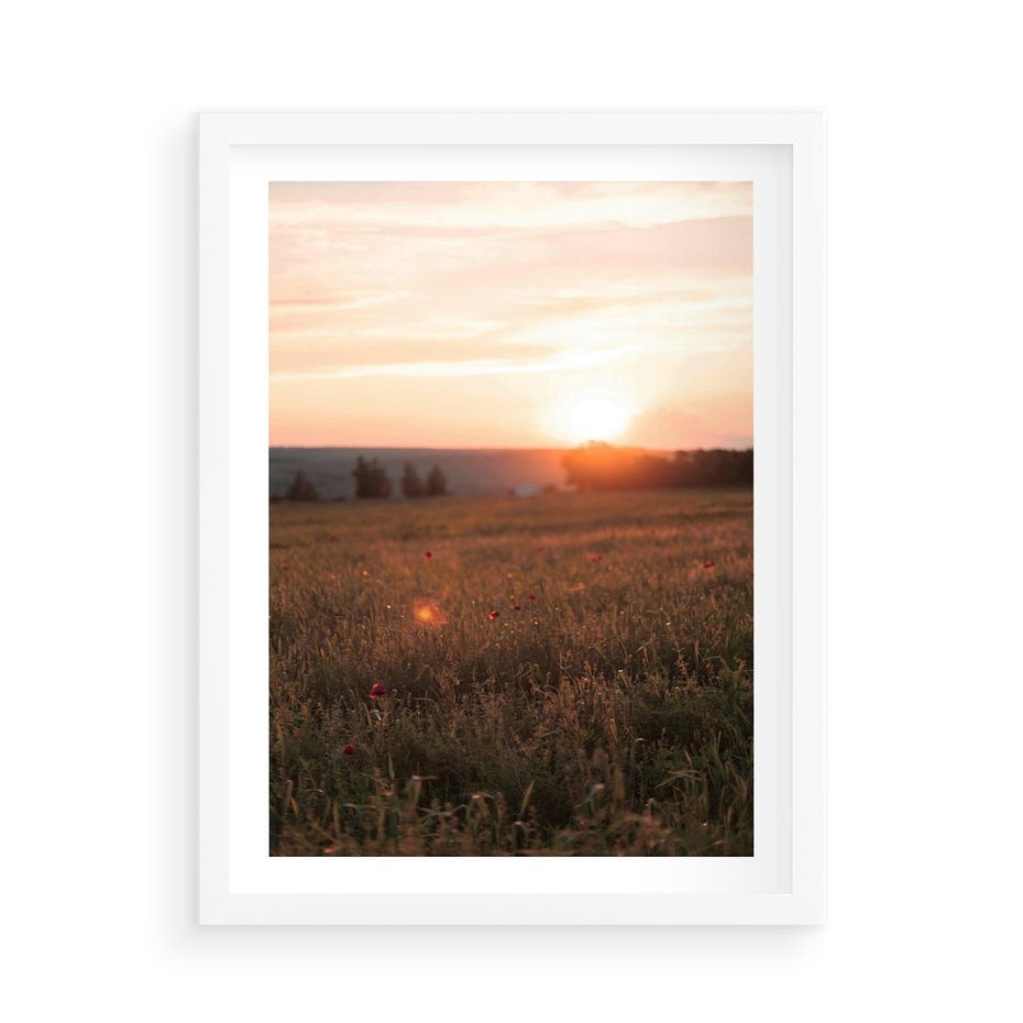 Plakat w ramie 50x70 - Łąka we Wschodzącym Słońcu: Magia Poranka - łąka, krajobraz - rama biała