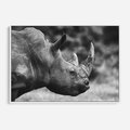 Obraz w ramie 120x80 - Potęga Afryki - czarno biała fotografia, zbliżenie na postać nosorożca - rama biała