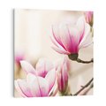 Obraz na płótnie 30x30 - Urok Magnolii - magnolie, kwiaty