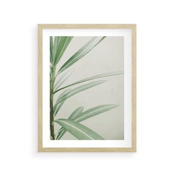 Plakat w ramie 50x70 - Minimalistyczna Tropikalna Harmonia - tropikalna roślina, zielone liście - rama drewno