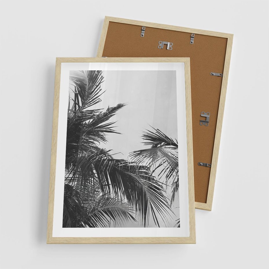Plakat w ramie 50x70 - Palmy w Monochromii - palmy, tropikalne palmy - rama drewno