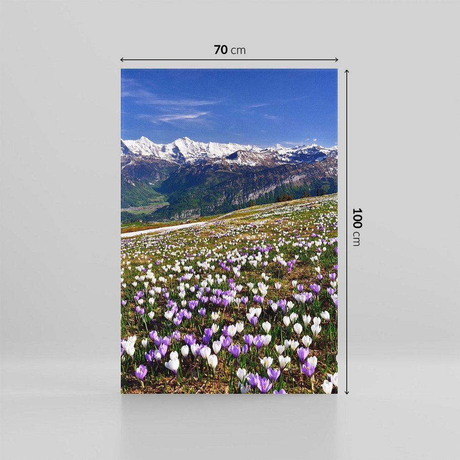 Obraz na płótnie 70x100 - Wiosenne Czarowanie - krokusy, góry