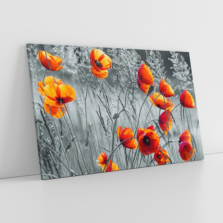 Obraz na płótnie 120x80 - Malownicza łąka - maki, mak