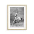 Plakat w ramie 30x40 - Elegancja w Czarno-Białym - koń, biało - rama drewno