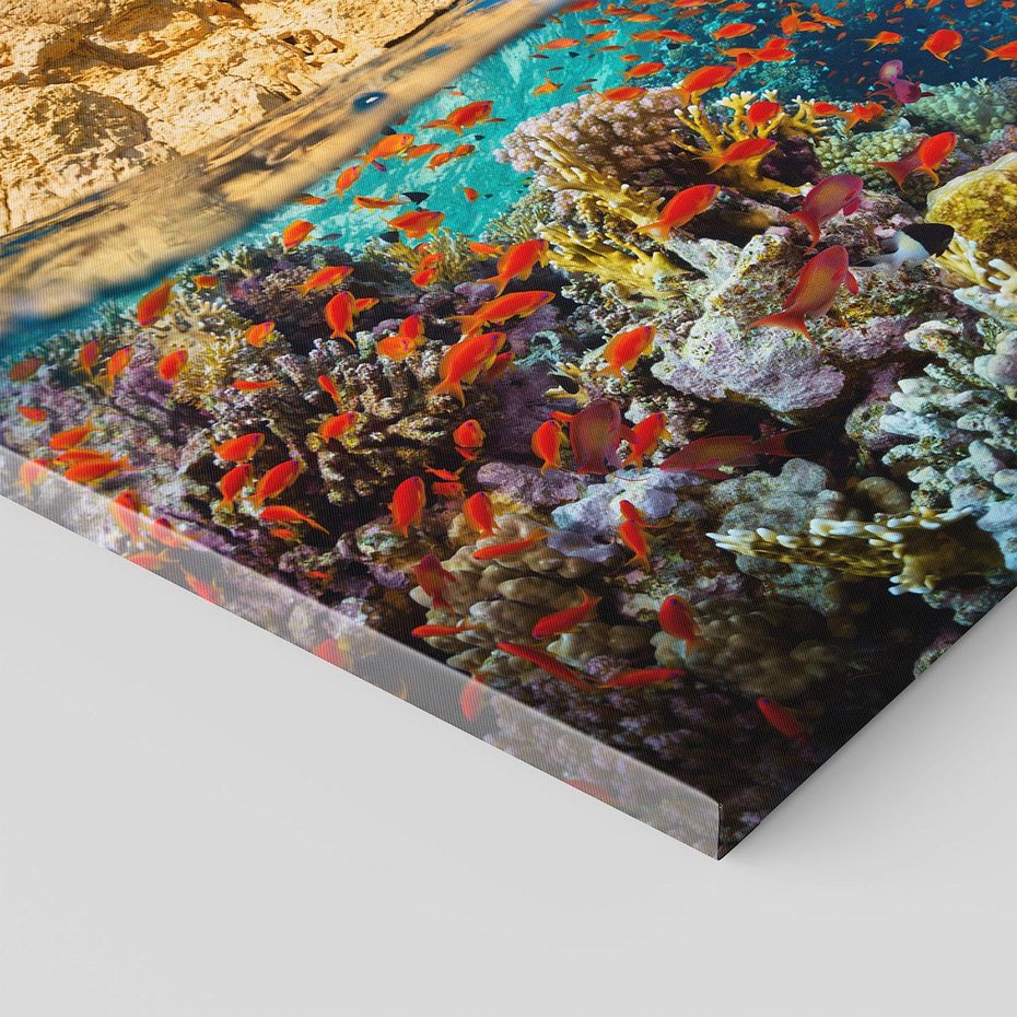 Obraz na płótnie 40x40 - Rafa koralowa w oceanie - rafa, koralowa