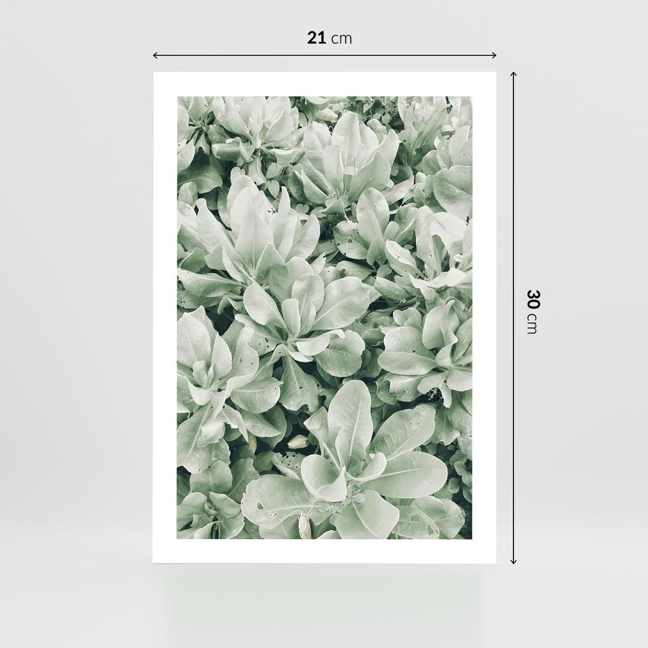 Plakat bez ramy 21x30 - Liście w Jasnych Odcieniach Zielonego - liście, jasna zieleń fotografia