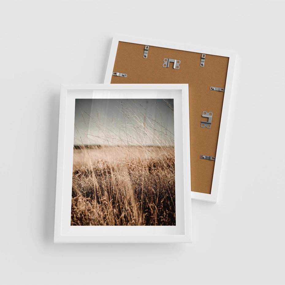Plakat w ramie 40x50 - Sucha Trawa w Odcieniach Sepii - suche trawy, łąka odcienie beżu - rama biała