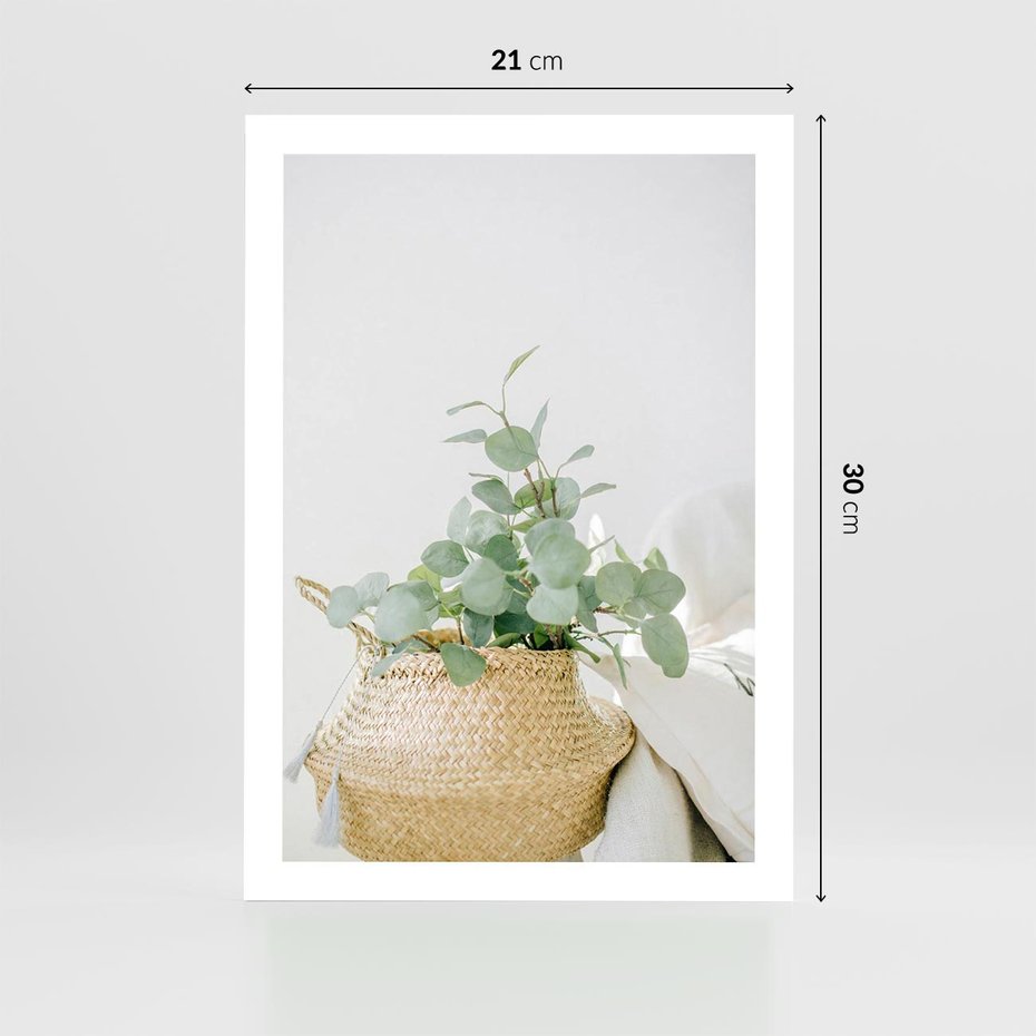 Plakat bez ramy 21x30 - Eukaliptusowa Świeżość - eukaliptus, liście w koszu z wikliny