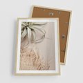 Plakat w ramie 50x70 - Aloes w Stylu Boho - kompozycja, wiklina - rama drewno