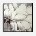 Obraz w ramie 50x50 - Tekstura Kwiatu - białe kwiaty, duży kwiat - rama czarna