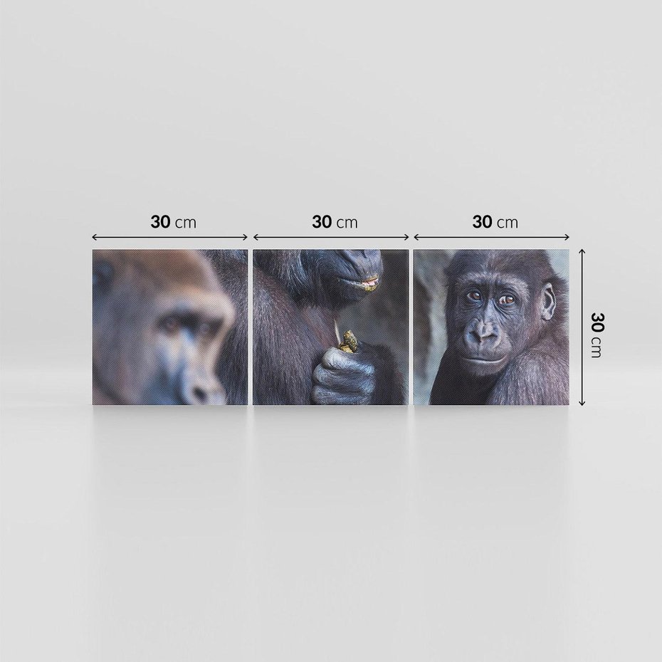 Obraz na płótnie 90x30 - Małpy w ich naturalnym środowisku - małpy, szympansy