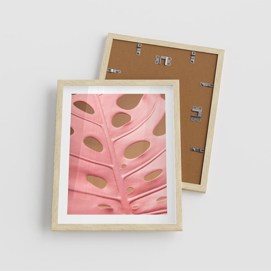 Plakat w ramie 40x50 - Różowy Liść Monstery - różowy liść monstery, nowoczesna fotografia - rama drewno