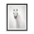 Plakat w ramie 50x70 - Elegancja białego konia - biały, koń - rama czarna