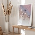 Plakat bez ramy 30x40 - Delikatne Natchnienie - krople, dmuchawce