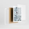 Plakat w ramie 50x70 - Zima w Detalu: Gałęzie ze Szronem i Śniegiem - śnieg, zima - rama biała