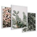 Zestaw obrazy w ramie 50x70 galeria - Rośliny, liście, kaktusy - rama biała